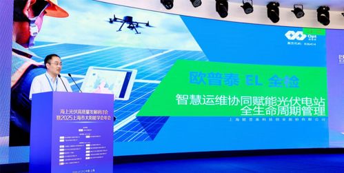 海上光伏高質量發(fā)展研討會暨2025上海市太陽能學會年會順利召開 科技推廣與應用服務的新篇章